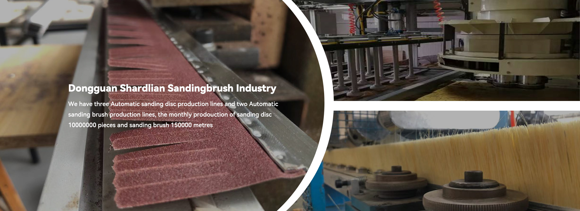 China Sanding Brush တင်သွင်းသူ